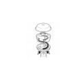 W1.png